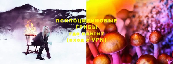 первитин Козельск