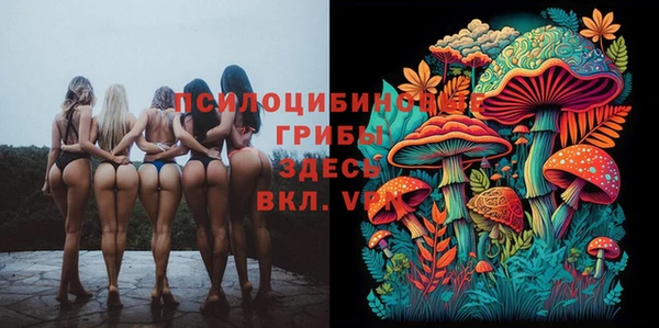 mdma Кодинск